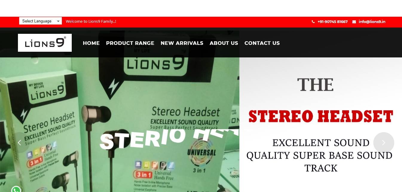 Lions9-Mobile-Accessories-Web-Portal.png