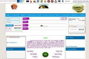 netspace-software-view-ideas-portal